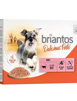 Briantos Delicious Paté 12 x 100 g - Rind