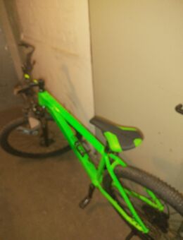 Cube Limited edition Pro Hardtail green - Lippstadt