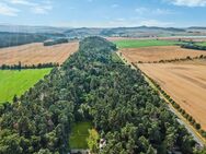 Waldgrundstück in Quedlinburg mit Gartenbungalow - Quedlinburg