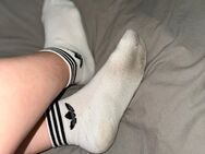 3 Tage pure Leidenschaft in einem Paar Socken 🧦 - Köln