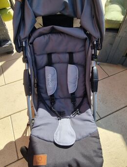 Buggy 6 bis 36 Monate - Waldsassen