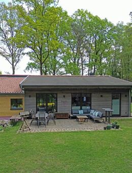 Bungalow - fast neuwertig - auf großem Waldgrundstück in toller Lage - Asendorf (Landkreis Harburg)