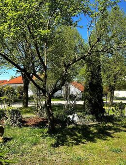 Einfamilienhaus mit Dachstudio und Praxiseinheit – ideal für Eigennutzer & Investoren! - Bad Füssing