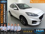 Ford Kuga 2.0 EcoBlue 4x4 Aut. ST-Line X iLED+iACC - Premnitz