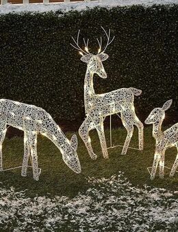 Beleuchtete Rentier-Weihnachtsdekoration – Ein funkelndes Highlight für den Außenbereich Set23112 - Ingolstadt