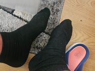 Getragene Socken - Geroldsgrün