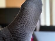 Getragene Socken von geilem XL Bull - Düsseldorf