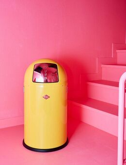 WESCO Mülleimer Pushboy Junior Abfallsammler, mit Metalleinsatz, Griffe, Einwurfklappe aus Edelstahl und Bodenring