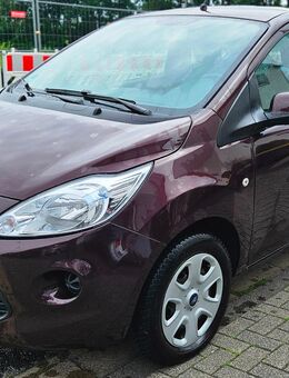 FORD KA Erste Hand / 35000km / Klima / TÜV NEU - Bielefeld Brake