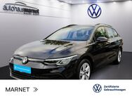 VW Golf Variant, 1.0 TSI Golf VIII Life beh Lenkrad, Jahr 2023 - Bad Nauheim