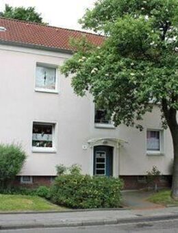 Wir vermieten Zufriedenheit. - Marl (Nordrhein-Westfalen)