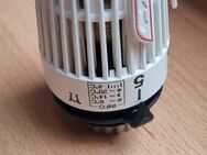 Heimeier Thermostat- Ersatzkopf weiß, mit Nullstellung - Verden (Aller)