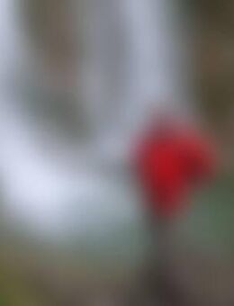 man*** - Losheim (See)