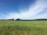 Tolles Baugrundstück in Bucha mit ca. 800,00 m² - Cavertitz