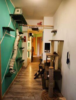 Großzügige Dachgeschosswohnung in Gelsenkirchen Heßler! - Gelsenkirchen
