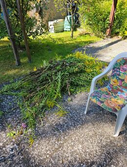 Gartenausverkauf - Berlin Reinickendorf