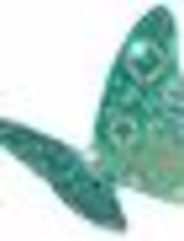 Kaufmännische Angestellte 30 - 35 Std. /Woche (m/w/d) - Berlin