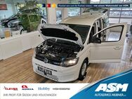 VW Caddy, 2.0 TDI Basis DIGITAL, Jahr 2024 - Blankenburg (Harz)