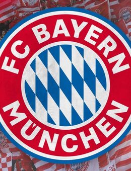 FC Bayern Dauerkarte für Rückrunde abzugeben - München Altstadt-Lehel