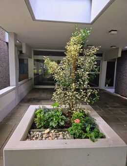 Penthouse-Feeling! Stilvoll sanierte 3-Zi-Whg mit Alpenblick und TG-Stellplatz - ohne Provision! - Taufkirchen (Landkreis München)