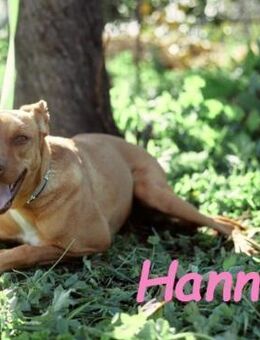 Hanni1 fröhlich & gesellig 10/21 ESP - Ruppertsecken