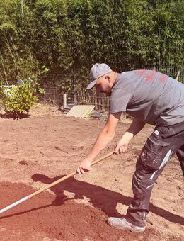 Rasen anlegen durch Einsaat – mit Bodenaufbereitung * - Dortmund