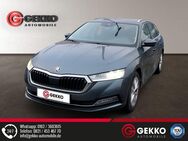 Skoda Octavia, Style APP Metallic, Jahr 2021 - Gersthofen