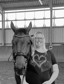 Voltigiernachwuchs gesucht - Kerken