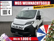 Fiat Ducato, 33 L3H2 Kasten #140 # # #ALLWETTER, Jahr 2022 - Bayreuth