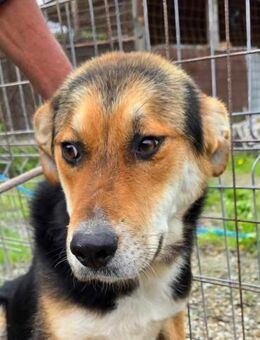 James - wurde abgesagt - Dreikirchen