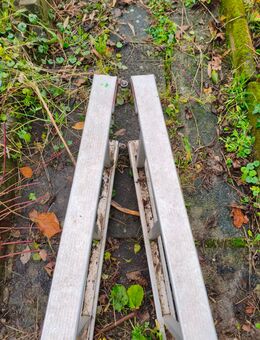Grosse Leiter - Kronberg (Taunus) Zentrum