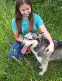 Dakota Husky Mix mit großem Herz - Remagen