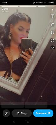Profil