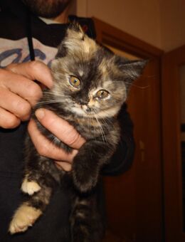 Liebevolles Zuhause - Kirchberg Zentrum