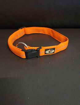 Hundehalsband, neu - Zossen