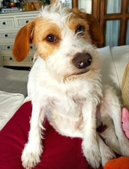 TEDY - lieber kleiner Schatz....... - Kempen