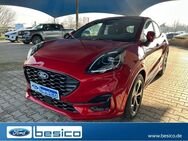 Ford Puma, ST-Line MHEV iACC, Jahr 2022 - Glauchau