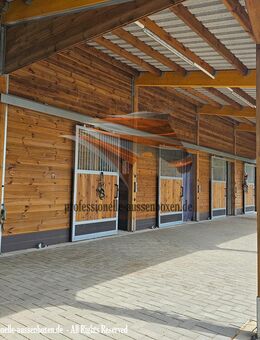 Pferdestall bauen : Stallbau TOP - Stallungen, Pferdebox und Offenstall kaufen, Weidehütte, Pferdeunterstand, Weideunterstand, Unterstand - Kolbingen