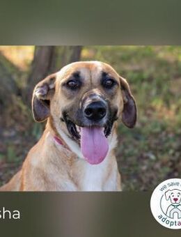 Nisha Frohnatur - Kirchzell