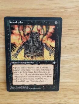 Magic The Gathering-Brandopfer- - Nörvenich