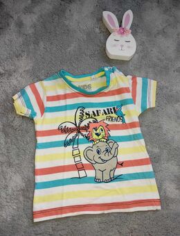 T-Shirt Größe 80 - Menden (Sauerland)