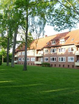 Frischrenovierte 3-Zimmerwohnung!!! - Nortorf (Landkreis Rendsburg-Eckernförde)