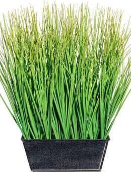 Kunstgras Gras Gras, Creativ green, Höhe 30 cm