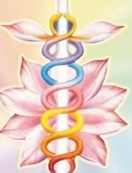 REIKI FERNREIKI traditionell nach Usui - Zossen