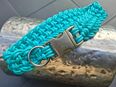 Hundehalsband in 45472