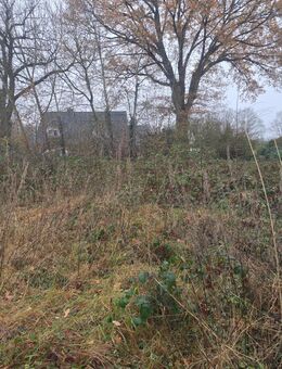 Großzügiges Baugrundstück in Toplage in Aukrug - Aukrug