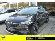 Opel Grandland 1.2 Turbo EU6d 120 Jahre Navi LED Kurvenlicht Apple CarPlay Android Auto Mehrzonenklima - Niederahr