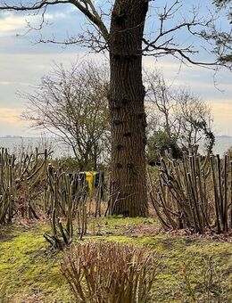 Attraktive Ferienwohnung (baurechtl. genehmigt) direkt am Südstrand (hervorragende Vermietbarkeit) - Wyk (Föhr)