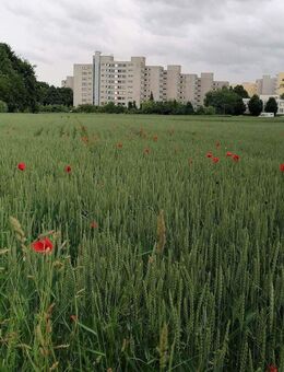 Gepflegte & sonnige 3,5-Zimmer-Penthaus Wohnung mit Weitblick in Stuttgart-Möhringen - Stuttgart