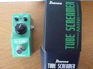 Tube Screamer Mini - Westoverledingen